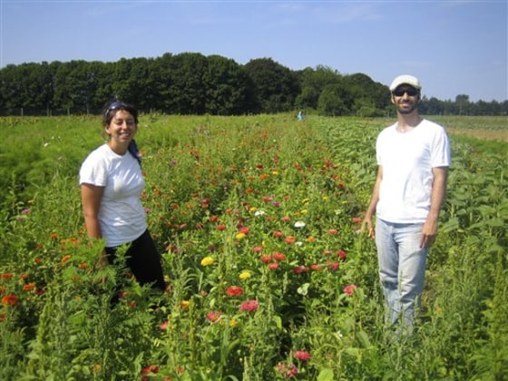 Volunteers pick flowers for the Community Supported Agriculture (CSA) share at the Garden of Eve farm in Riverhead, N.Y. Garden of Eve takes in volunteers from mid-April until Thanksgiving, so chores vary according to the time of year.  